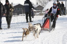 Lenk 2012 SM